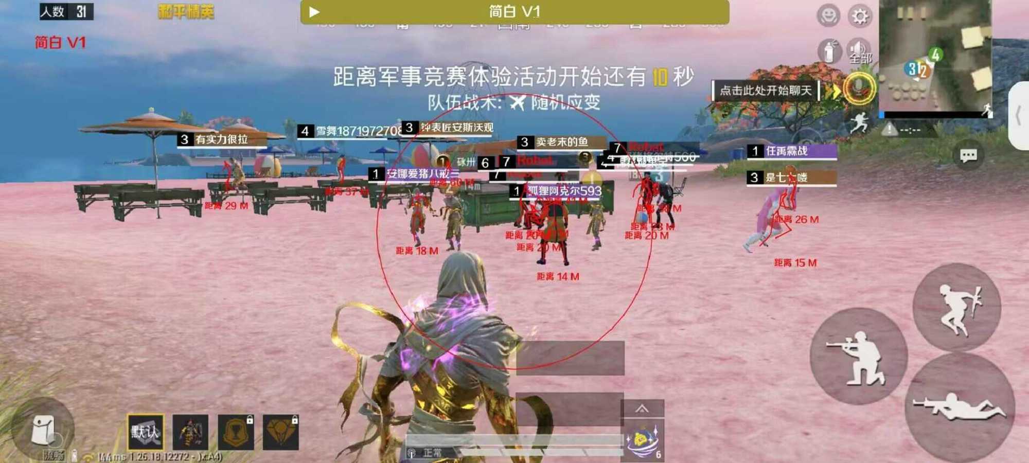 和平精英《北极熊》辅助
